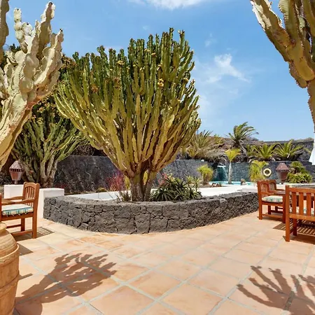 El Cactus Teguise (Lanzarote)